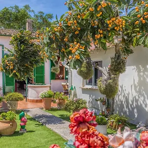 Сasa de vacaciones Casa Vileta España